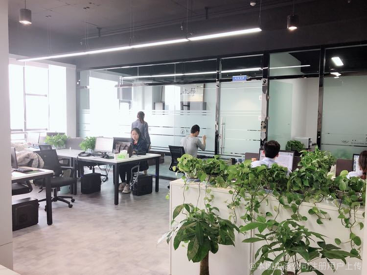 甘肃科德信息技术咨询