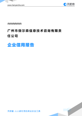 广州市微尔森信息技术咨询有限责任公司(企业信用报告)- 天眼查